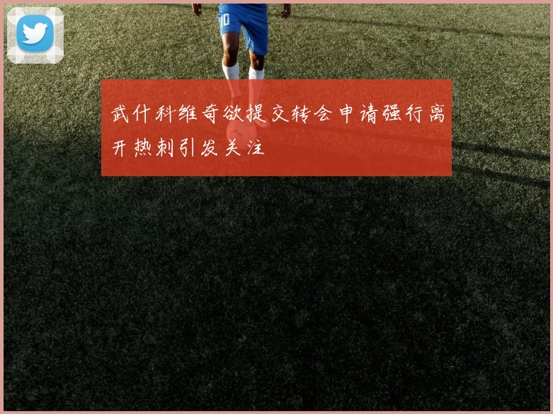 武什科维奇欲提交转会申请强行离开热刺引发关注
