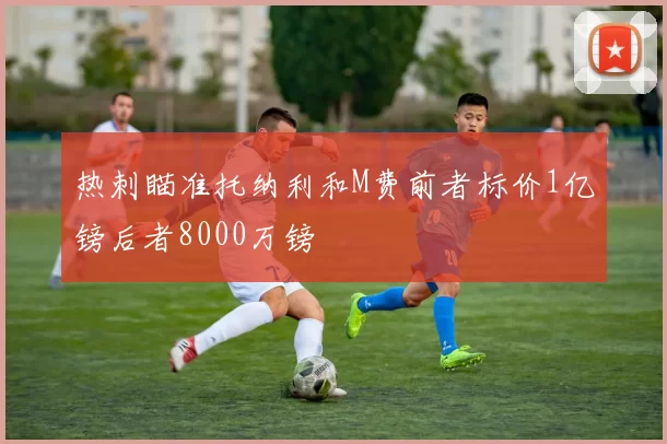 热刺瞄准托纳利和M费前者标价1亿镑后者8000万镑
