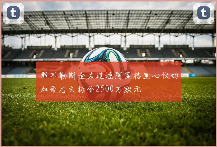 那不勒斯全力追逐阿莱格里心仪的加蒂尤文标价2500万欧元