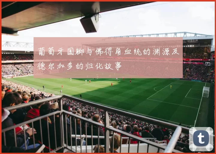 葡萄牙国脚与佛得角血统的渊源及德尔加多的归化故事